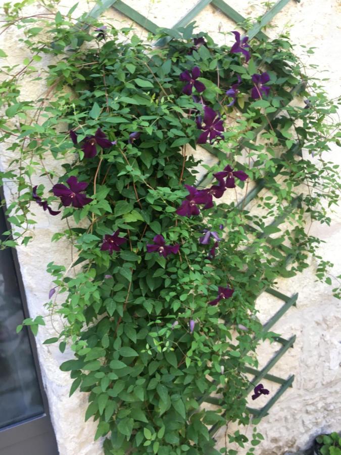 Chambre Sur Jardin Secret - Avignon Centre - Climatisee Εξωτερικό φωτογραφία