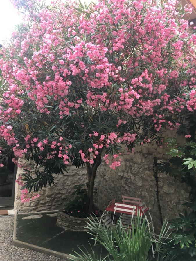 Chambre Sur Jardin Secret - Avignon Centre - Climatisee Εξωτερικό φωτογραφία